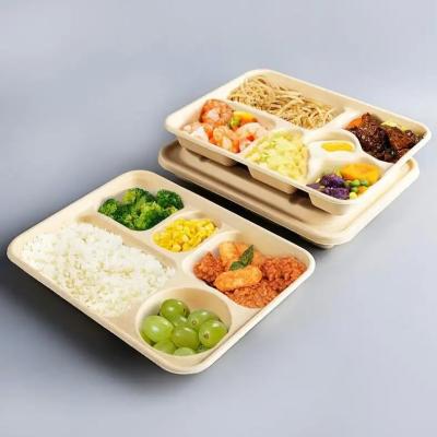 China Eco Friendly Biodegradable Sugarcane Bagasse Pulp Paper Take Away Hot Food Container For Food for sale