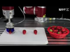 Intelligent sorting of fruits and vegetables, smart agricultural packaging solutions