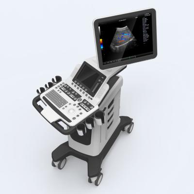 China Eco Ultrasoundeco Ultrasound Scanner Machine 5d Doppler For Pregnancy for sale