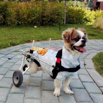 China Strollers Walkers Handicapped Cat Wheelchair Four Wheel For Pets for sale