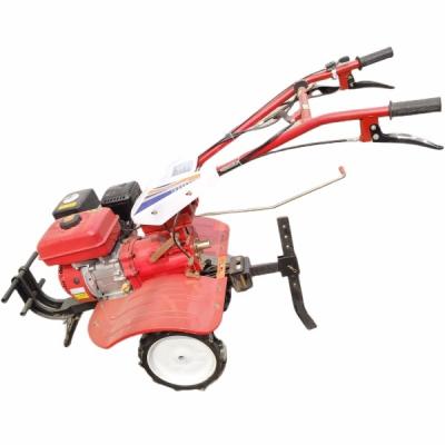 China Gasoline Engine Agricultural Equipment Tools 1WG-4Q Mini Power Rotary Tiller for sale