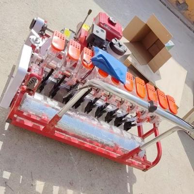 China Máquina de semillero de vegetales autopropulsada de varias filas de semillero ajustable para jardines de vegetales en venta