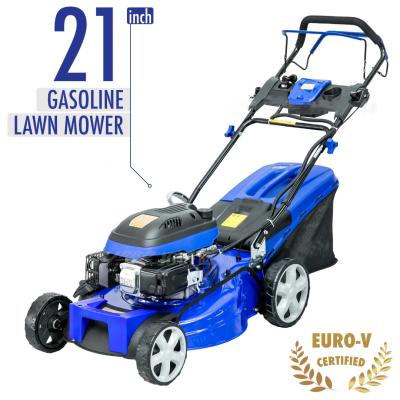 China 3600W Lawn Mower Wholesale 530mm Cutting Width Hand Push Lawn Mower With 60L Collection Bag en venta