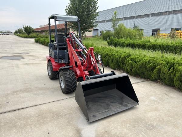 Quality Fully Hydraulic Compact Mini Loader Machine Hydraulic Travel Lift 800kg Small for sale