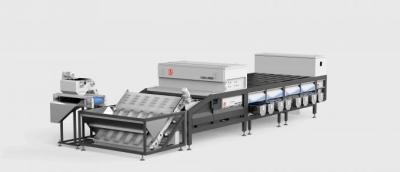 China High Speed Dates Sorting Machine Optical 6.3KW 380V 6 Lanes for sale