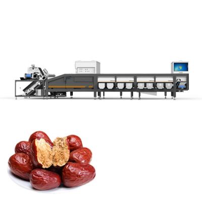 China 6 Channel Dates Industrial Sorting Machine 380V Free Maintenance for sale