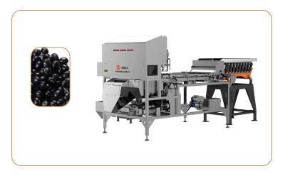 China Black Beans Infrared Sorting Machine More Than 1T/H for sale