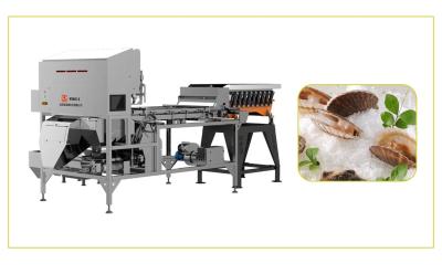 Chine Low Energy Consumption Scallops Infrared Sorting Machine High Speed à vendre