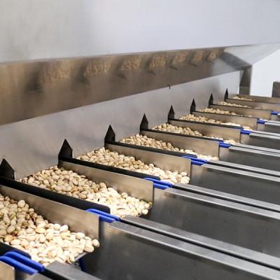 China Large Capacity High Speed Pistachio Sorting Machine With CE Certificate For All Varieties for sale
