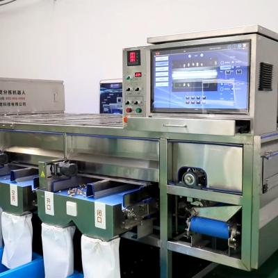 China 8 Ausgangs-mit hohem Ausschuss Pistazie-sortierende Maschine bis 1100 Kilogramm jede Stunde zu verkaufen