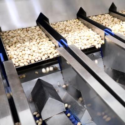 Chine 380V Jumbo Akbari Pistachio 8 Exits Nuts Sorting Machine For Grading And Sizing à vendre