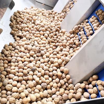中国 機械によって特色にされる穀粒の貝の分離を殻から取り出す自動供給のクルミ2トンの容量の 販売のため