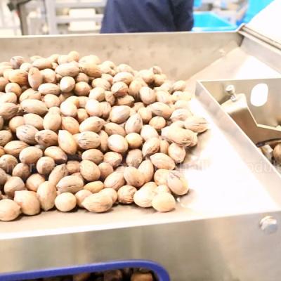 Chine 380V sec fendant 24000 morceaux de noix de pécan écossant la machine avec le taux parfait élevé de noyau à vendre