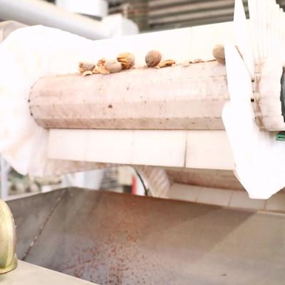 China 220V CE Dry Cracking Pecan Shelling Machine Connect To IR Kernel Shell Separator for sale