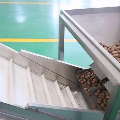 China 380V 8 Exits Pecan Nuts Sorting Machine CE Approved 2 Tons Capacity for sale