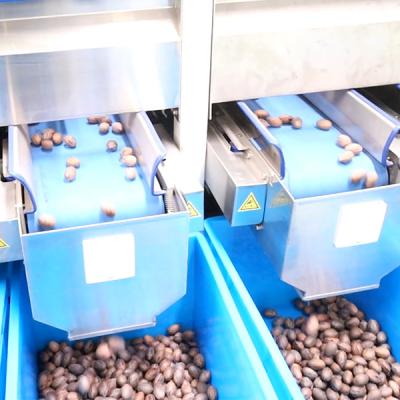 China 380V Mechanical Pecans Silver Sorting And Shelling Machine 360° Rotational Scanning for sale