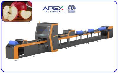 China 360 Degree Rotational Scanning Apple Sorting Machine Computer Control for sale