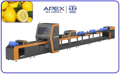 China Intelligent Automatic Lemon Sorting Machine 380V / 50Hz for sale