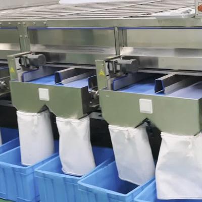 China 20 Channels 8 Discharge Ports Pistachio Sorting Machine With High Precision for sale