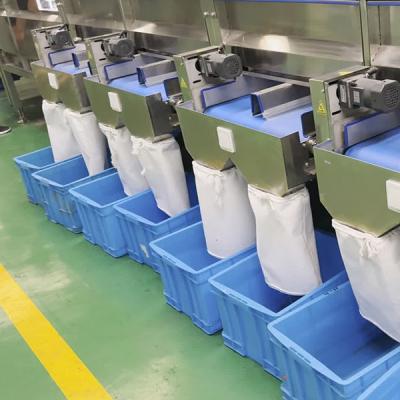 Chine Machine de tri des pistaches à grande capacité 600 à 700 noix classées par minute à vendre