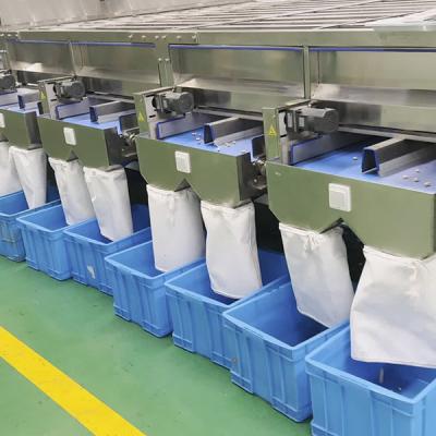 Chine Obtient 8 niveaux séparés avec la machine de tri des pistaches JGY en un seul tri à vendre