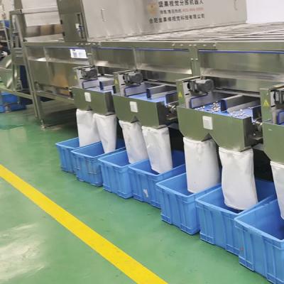 Китай Сертифицированная CE машина для сортировки фисташек обеспечивает 8 классов в одном процессе продается