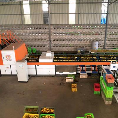 Китай Exclusive Tailored Orange Sorting Machine Feed And Discharge Exteral Inspection продается