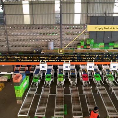 中国 Customizable 12 Tons Large Capacity Orange Sorting Machine With Up To 50 Discharge Ports 販売のため