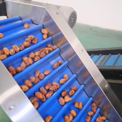 China Precision Elevating Date Quality Assurance With Advanced Dates Sorting Machine en venta