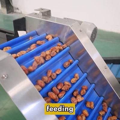 Chine Maximizing Productivity In Date Sorting Machine Hourly Capacity Up To 2 Tons à vendre