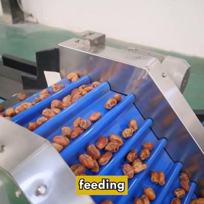China Unrivaled Accuracy Achieves Perfection In Date Sorting Grading Machine With High Capacity Te koop