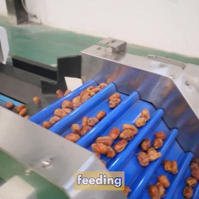 China Elevating Efficiency And Standards Date Sorting Machine Reduces Labor Investment Te koop