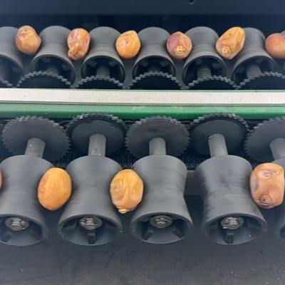 China AI Powered Palm Dates Sorting Machine 2 Tons Capacity with CE MD Certificate for sale