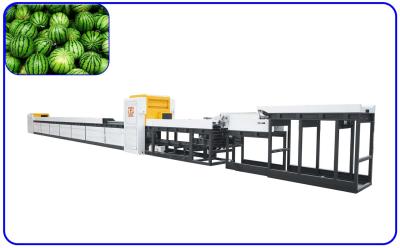 China Smart Fruit Sorting Machine Computer Control Watermelon Sorter Customized for sale