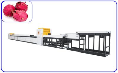 China Pitaya Intelligent Fruit Sorting Machine Computer Control For 2 - 3 T/H for sale