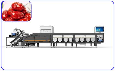 China A Machine That Automatically Sorts Jujubes According To Their Size 8 Lanes Dates Sorting Machine for sale