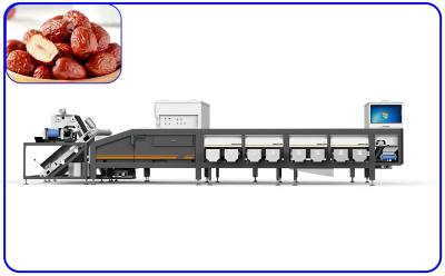 China 16 Channel Agricultural Product Sorter 2 T/H Automatic For Red Dates for sale