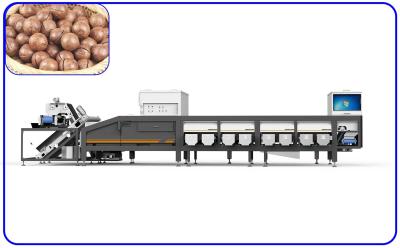 China Stainless Steel 380V Grading Sorting Machine 6 Channel High Speed Sorter for sale