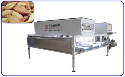 China Precise Pili Nuts Grading Sorting Machine Mechanical 6 Channel Computer Control for sale