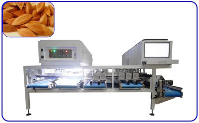 China Pili Nuts Optical 7KW Grading Sorting Machine 8 Channel For 0.8 - 1.2 T/H for sale