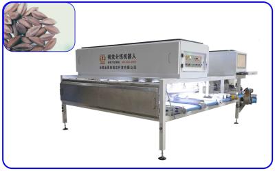 China 0.6MPa 50Hz Intelligent Grading Sorting Machine 12 Channel Optical Sorting System for sale