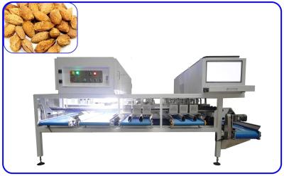China Almond Stainless Steel Industrial Sorting Machine High Speed 16 Channels 380V for sale