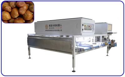 China Hazelnut 6 Channels Industrial Sorting Machine High Speed For Size And Breakage for sale