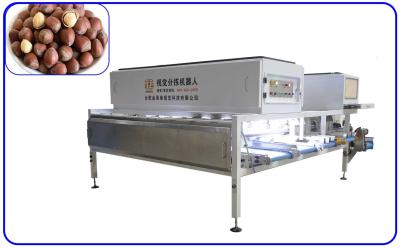 China Size And Breakage Hazelnut Sorting Machine 12 Channel Computer Control for sale