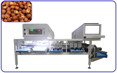 China 2 T/H 16 Channel Hazelnuts Sorter Stainless Steel Mechanical Sorting Machine for sale
