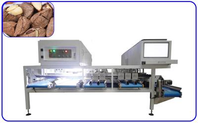 China Brazil Nuts AI Industrial Sorting Equipment 6 Channel Silver Color for sale
