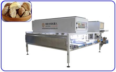 China 8 Channel 1 Ton Nuts Industrial Sorting Machine 380V For Desert Fruit for sale