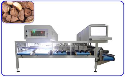China AI Brazil Nuts Sorting Machine Stainless Steel 12 Channel Electric Drive for sale