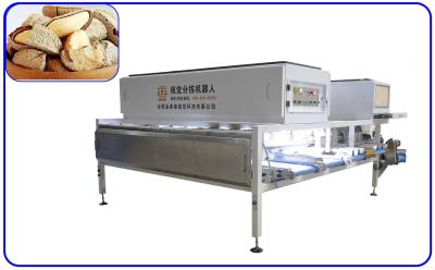 China 16 Channel Brazil Nuts Sorter 2 T/H Size Sorting Machine For Desert Fruit for sale
