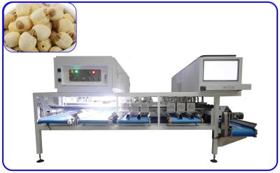 China AI Lotus Seeds Sorting Equipment 12 Channel 50Hz Optical Sorter Machine for sale